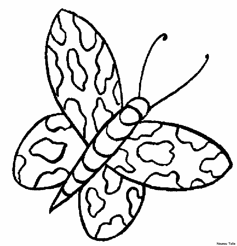 Una farfalla con le ali a macchie disegno da colorare