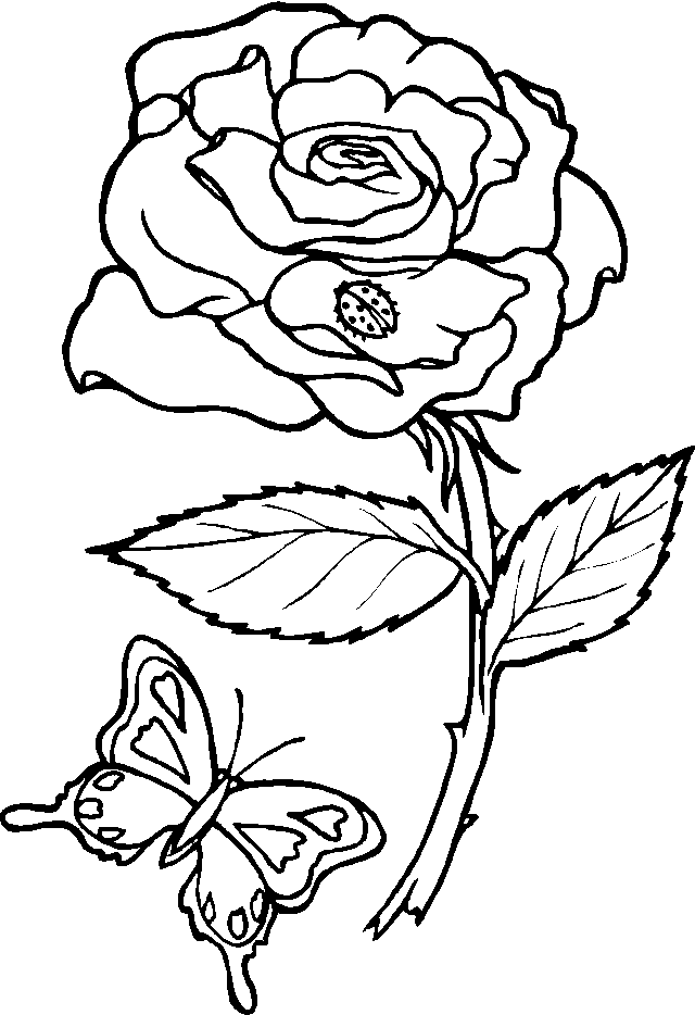 Una farfalla ed una rosa disegno da colorare