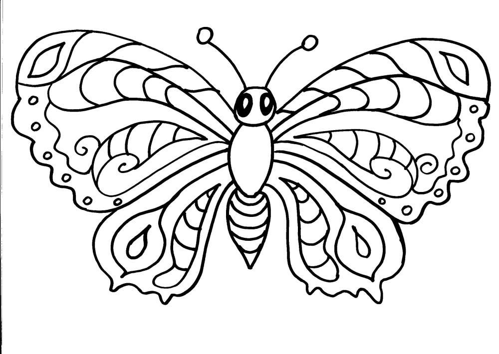 Una farfalla molto dettagliata disegno da colorare