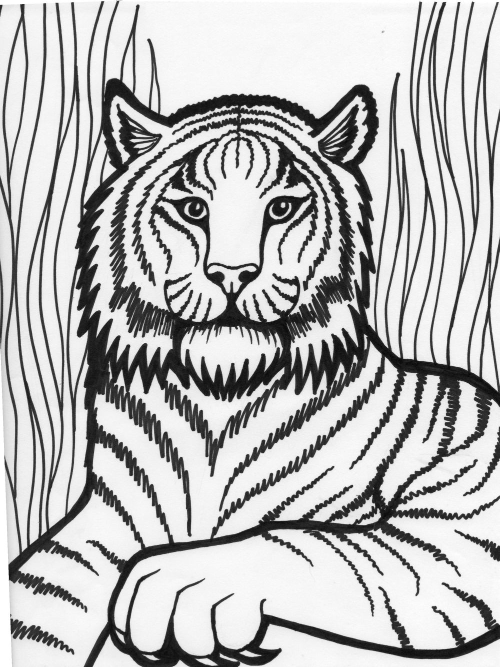 Una grande tigre disegno da stampare e colorare