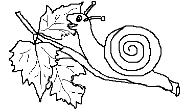 Una lumaca che mangia le foglie disegno da colorare