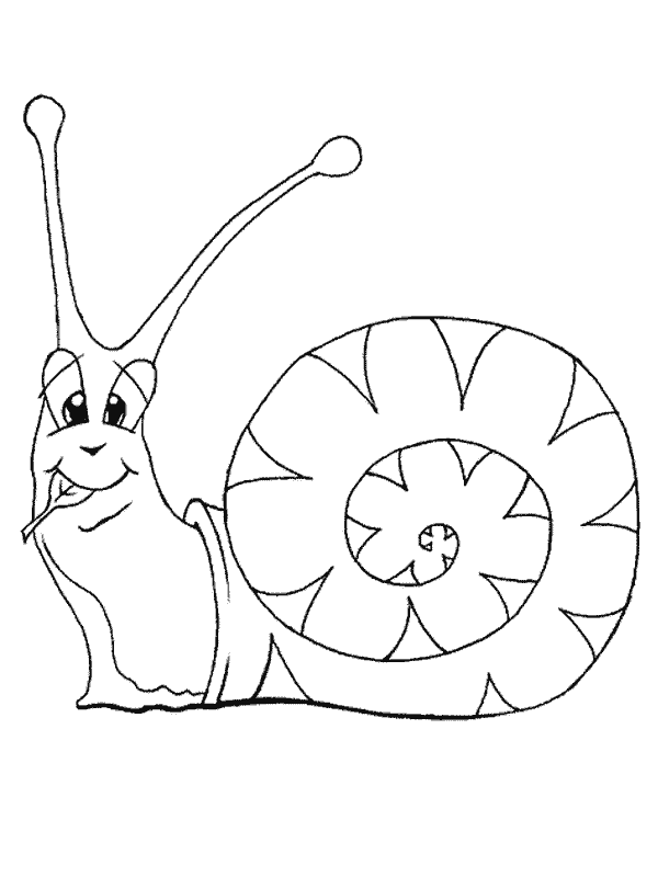 Una lumaca che mangia una fogliolina disegno da colorare