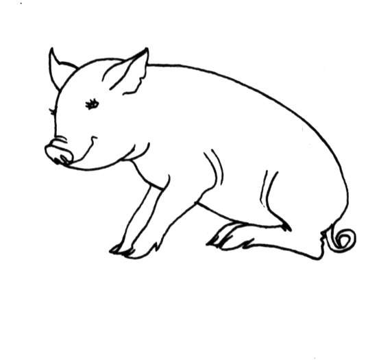 Una maialina seduta disegno da colorare