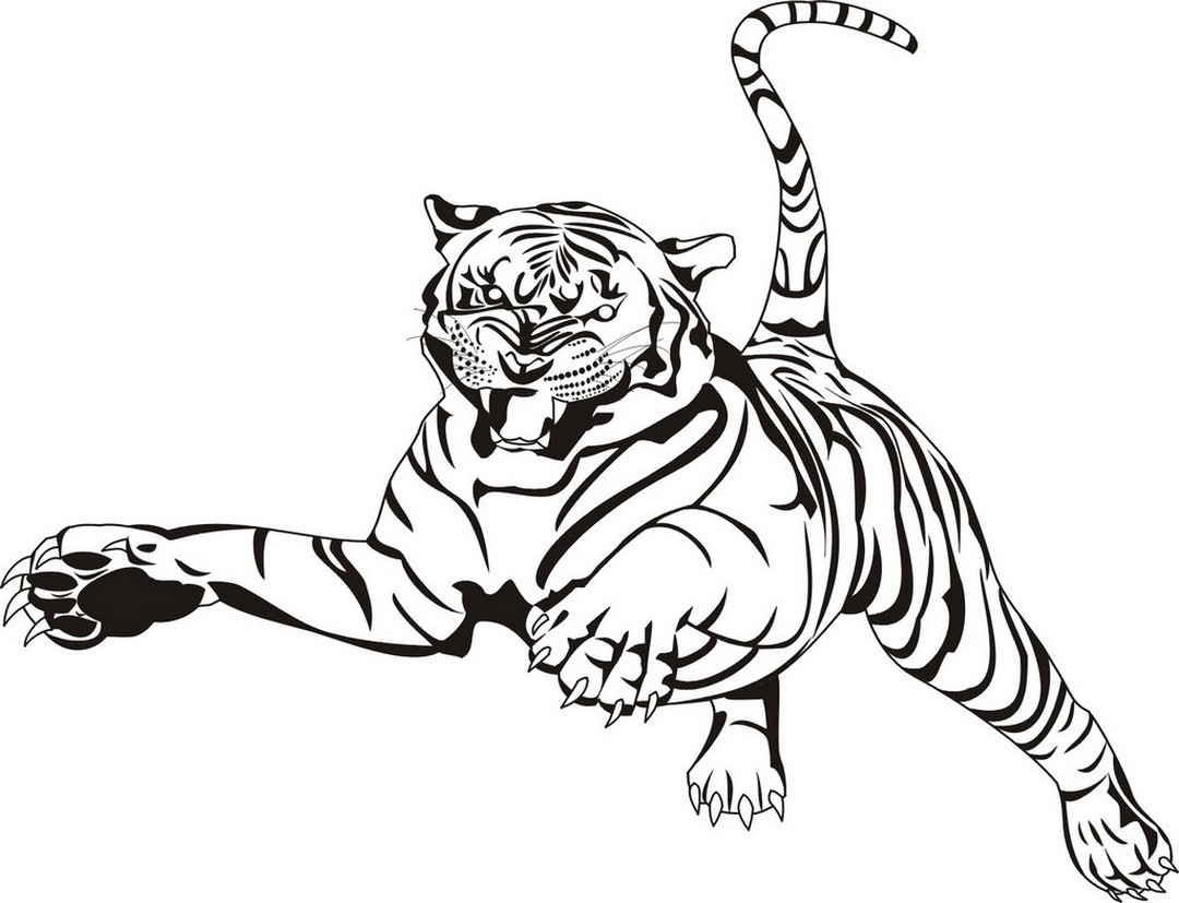Una tigre all’ attacco disegni da colorare gratis