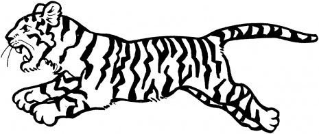 Una tigre che corre disegni da colorare