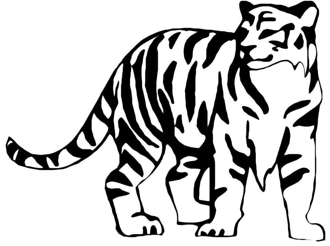 Una tigre da colorare per bimbi e bimbe
