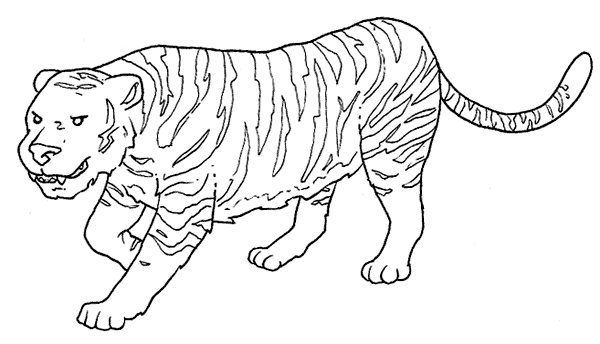 Una tigre semplice disegno da colorare