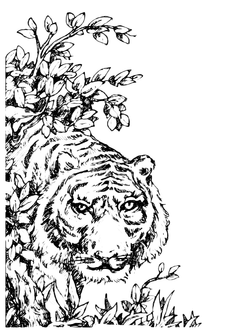 Una tigre tra i cespugli disegni da colorare