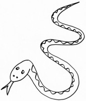 Una vipera serpente da colorare per bambini