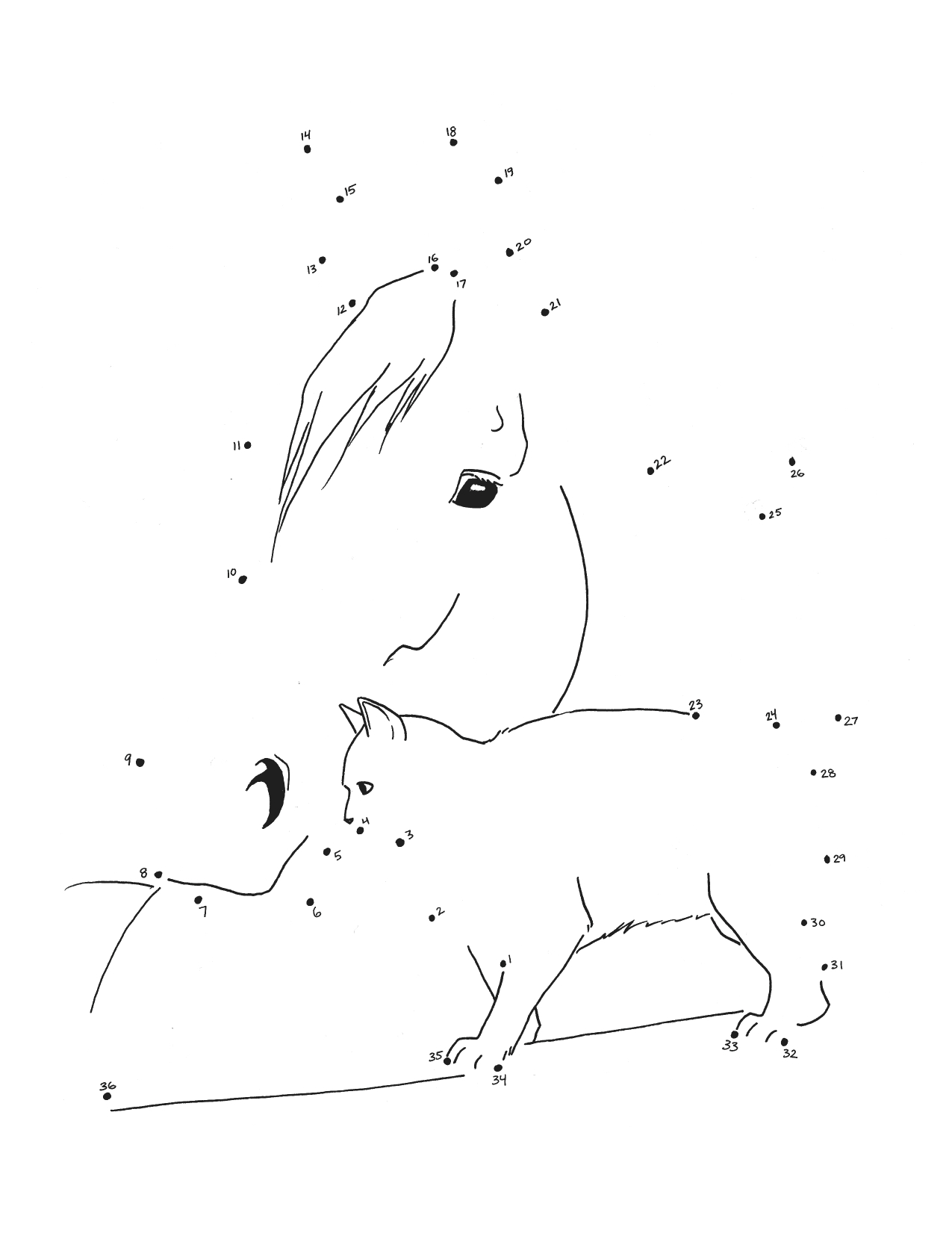 Unisci i puntini semplici gatto e cavallo