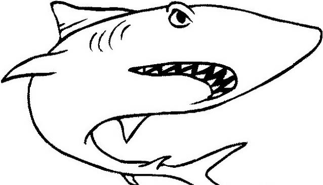 Uno squalo disegno gratuito