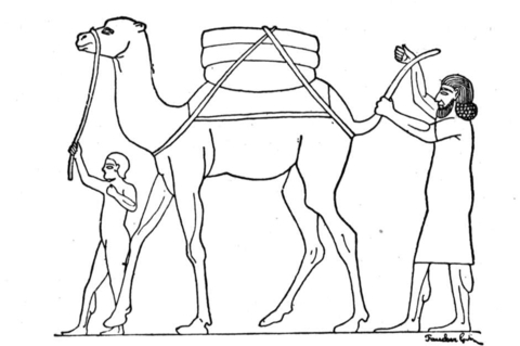 Uomini con cammello disegni da colorare Antico Egitto