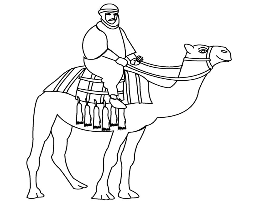 Uomo a cavallo di un cammello disegno da stampare e da colorare