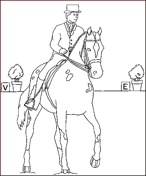 Uomo con cappello a cavallo disegno da colorare