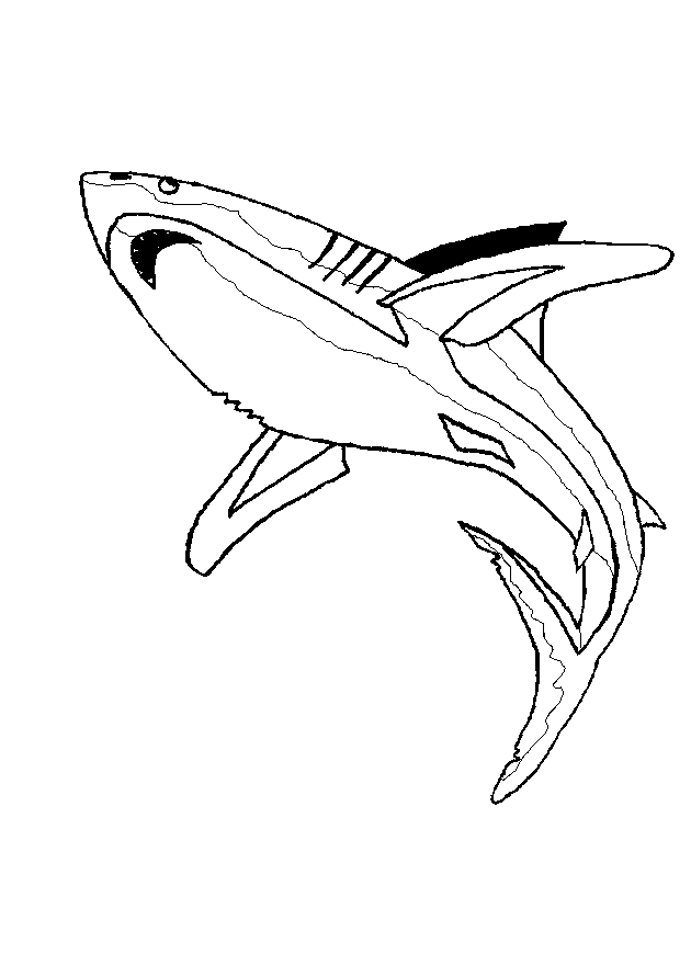 Vista inferiore di uno squalo da colorare