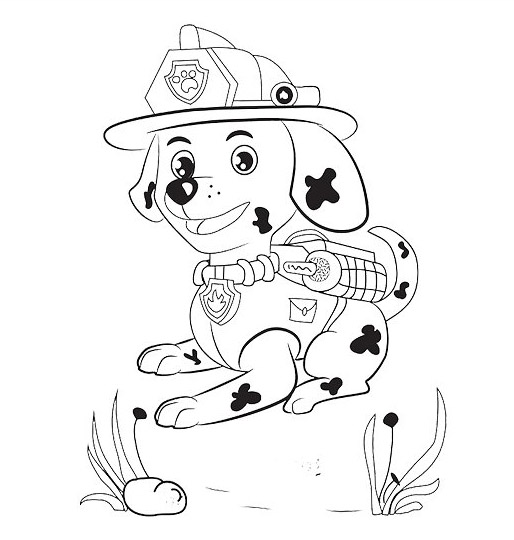 cagnolino marshall paw patrol disegni da colorare gratis
