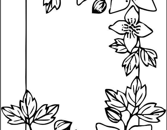 cornice fiori e foglie disegno da colorare gratis
