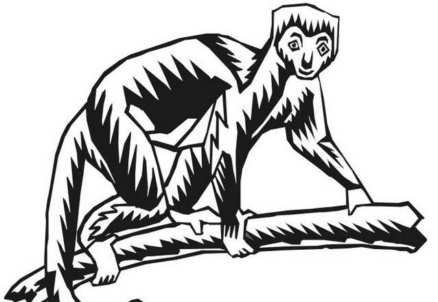 disegni da colorare babbuino scimmia per bambini
