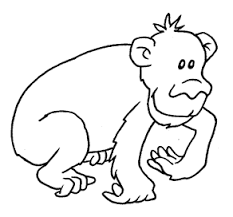 disegni da colorare dolce scimmietta per bambini