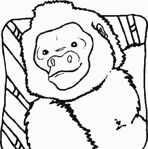 disegni da colorare gratis per bambini scimmia babbuino