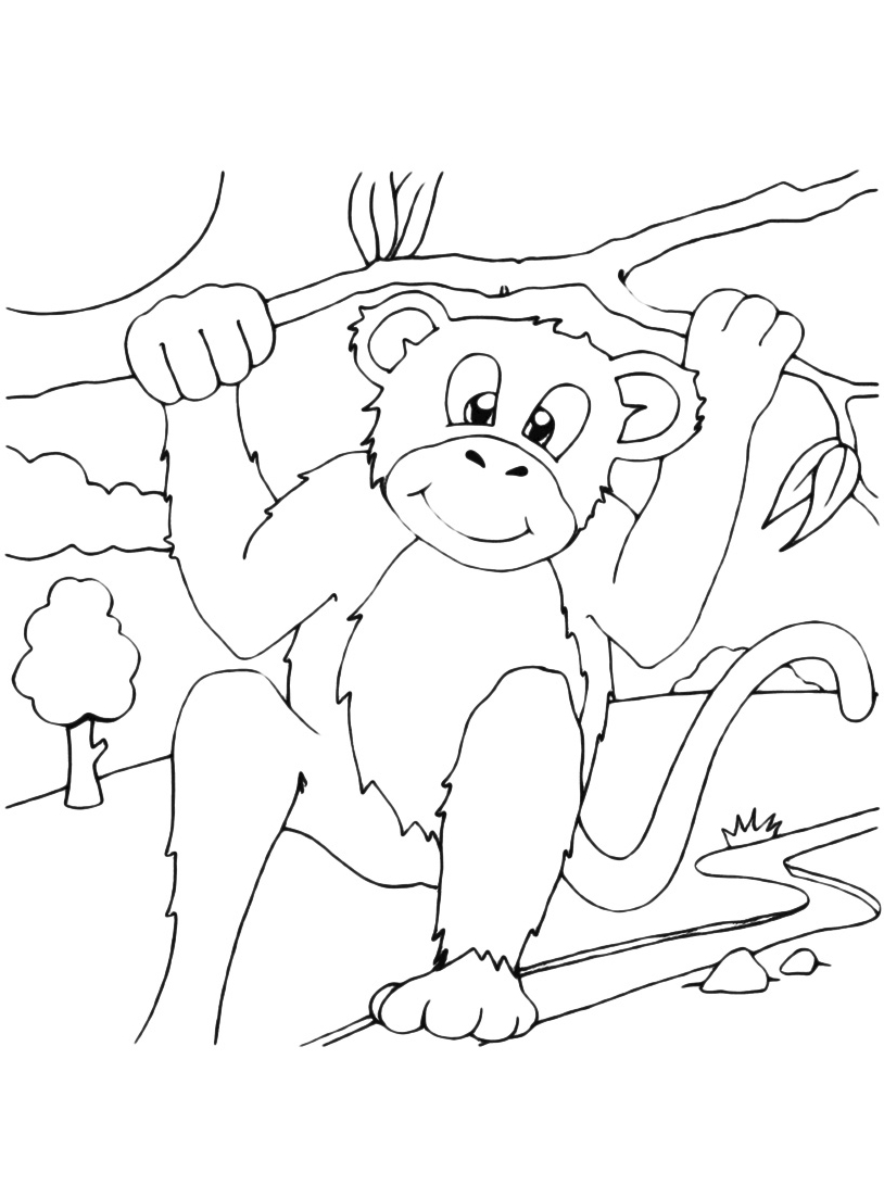 disegni da colorare gratis scimmia scivola
