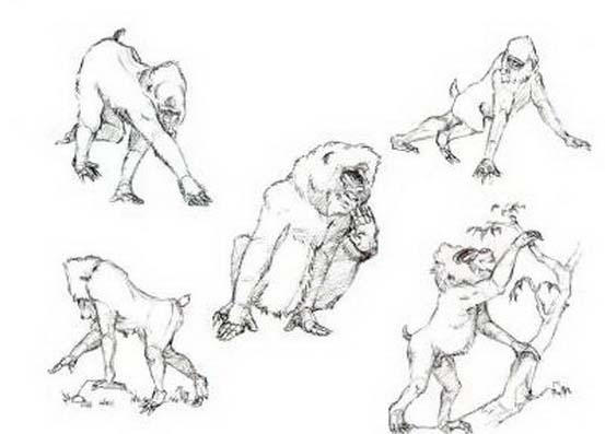 disegni da colorare gruppo di scimmie