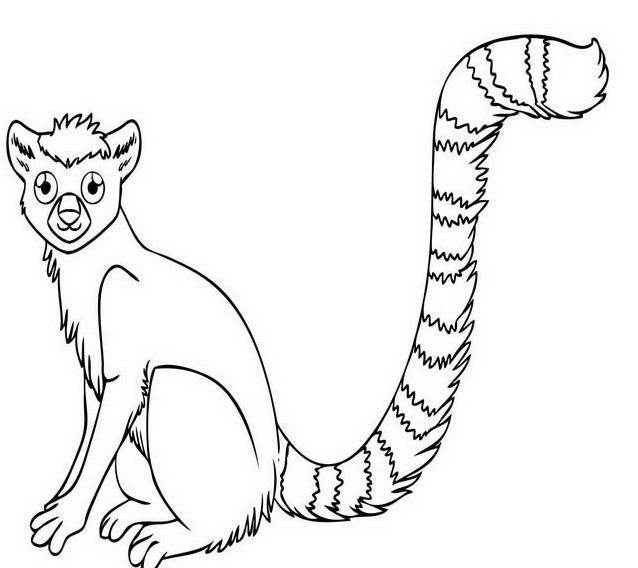 disegni da colorare per bambini piccola scimmia