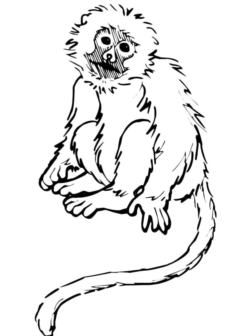 disegni da colorare per bambini scimmia babbuino per bambini