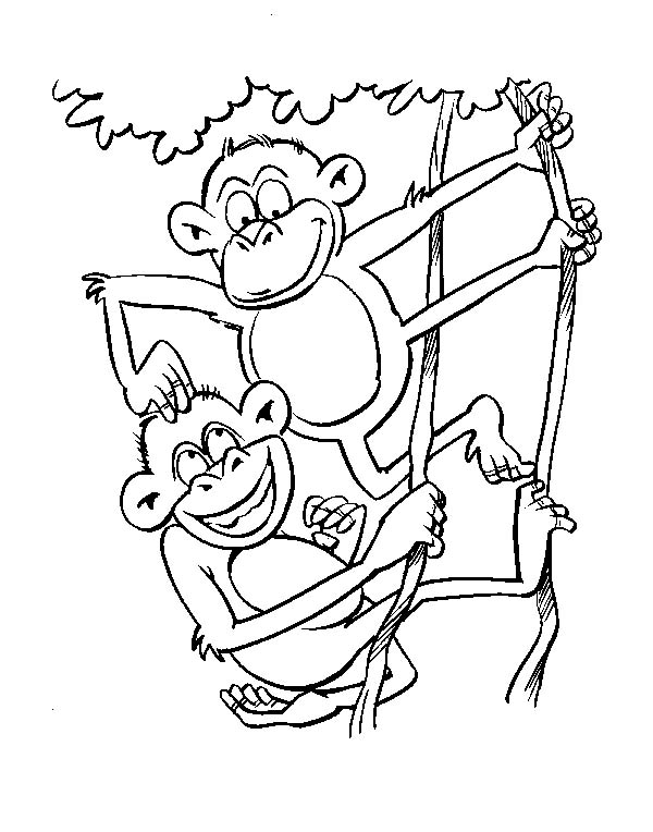 disegni da colorare per bambini scimmietta gioca con il fratellino