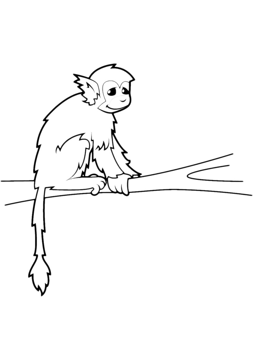 disegni da colorare per bambini scimmietta su ramo