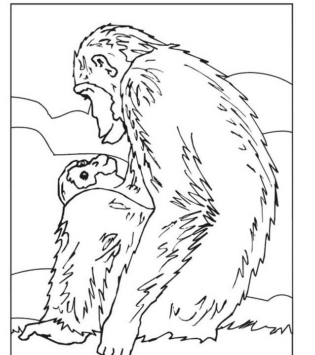 disegni da colorare pr bambini mamma scimmia e il suo cucciolo