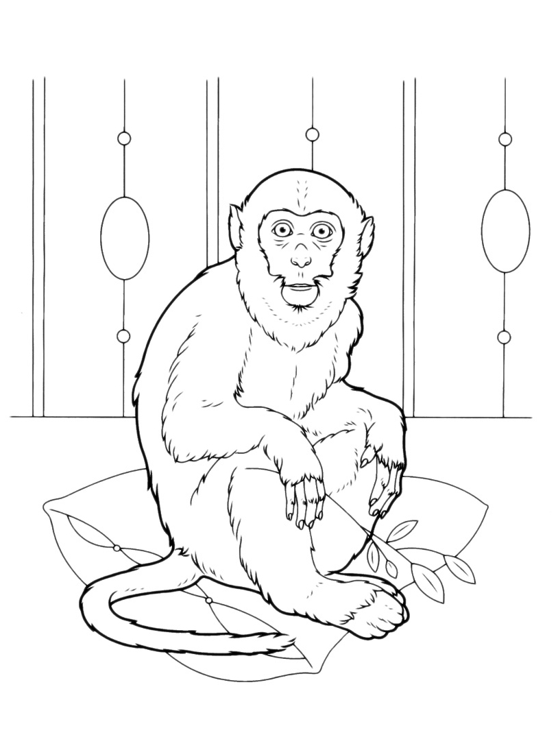 disegni da colorare pr bambini scimmia seduta sul cuscino