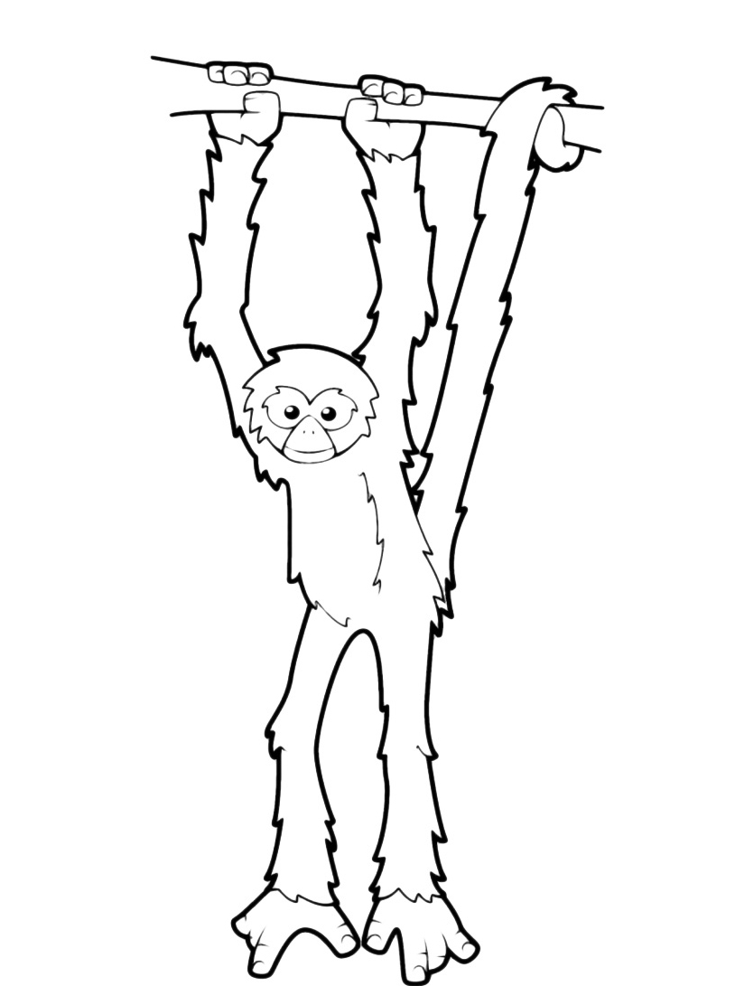 disegni da colorare scimmia dondola su ramo per bambini