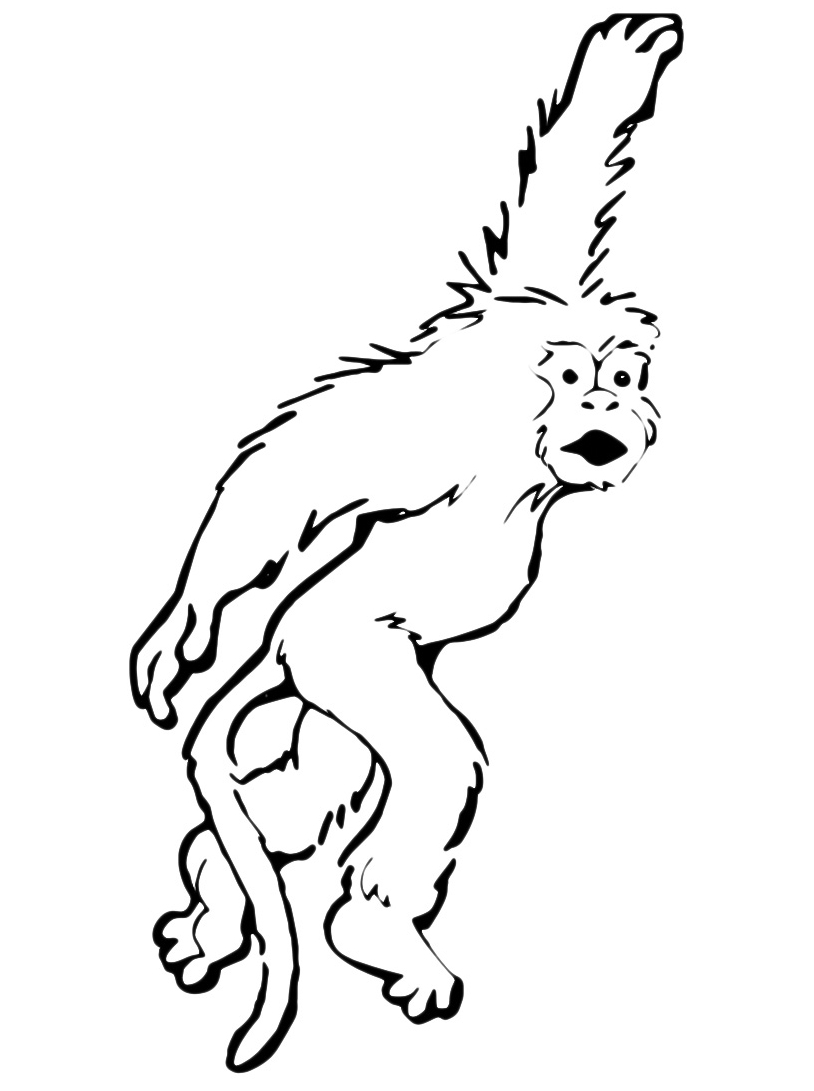 disegni da colorare scimmia gratis