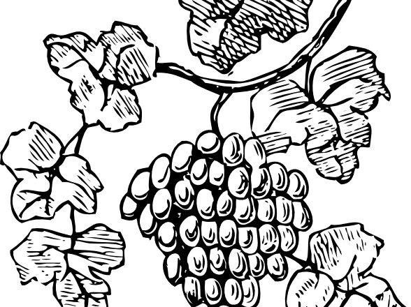 disegni da colorare uva per bambini