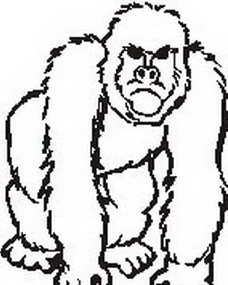disegni gratis per bambini scimmia da colorare