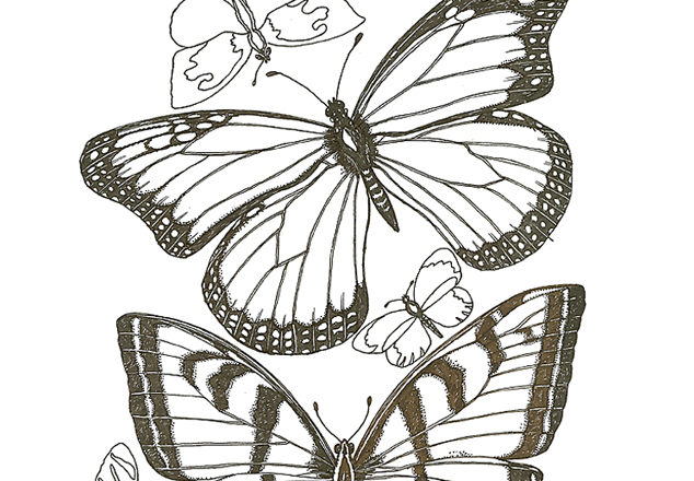 disegni per bambini biglietto auguri festa della mamma con farfalle