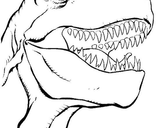disegni_da_colorare_denti_tirannosauro_rex_dinosauro
