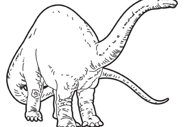 disegni_da_colorare_per_bambini_brontosaurio_dinosaurio