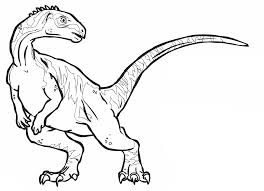 disegni_da_colorare_t_rex_dinosauro