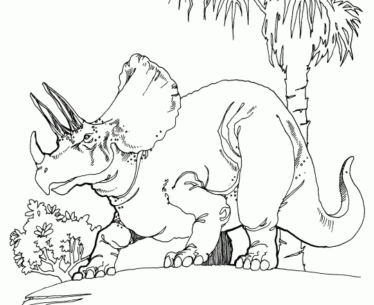 disegni_da_colorare_triceratopo_dinosauro_sulla_roccia