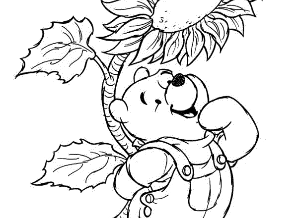 disegni_da_colorare_winnie_the_pooh_con_girasol