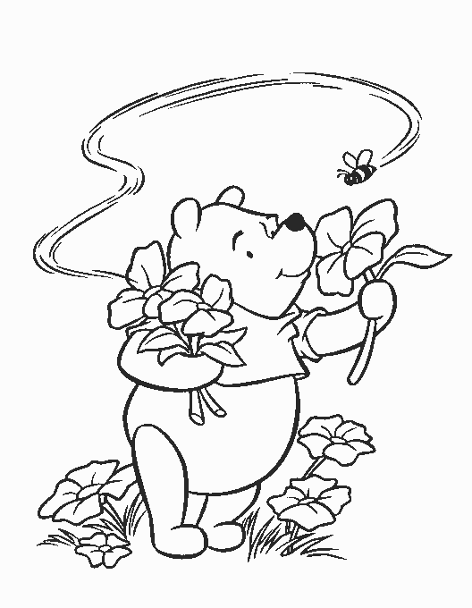 disegni_da_colorare_winnie_the_pooh_raccoglie_fiori