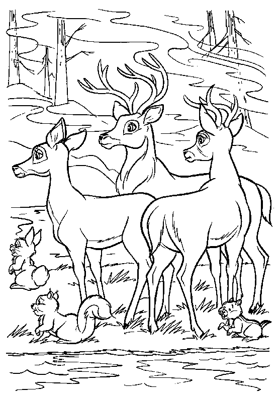 disegni_per_bambini_gli_amici_di_bambi
