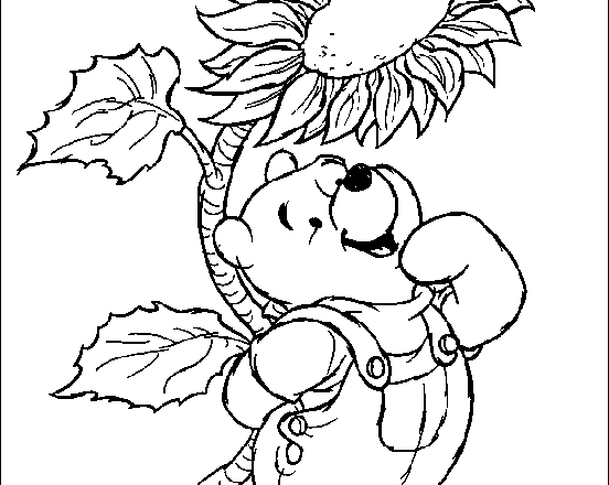 disegno winnie the pooh con fiore per la festa della mamma