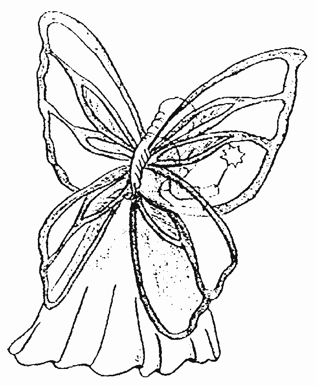 fata farfalla disegni da colorare gratis