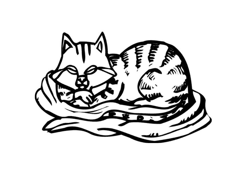 gattino_dorme_nella_coperta_disegno_da_colorare