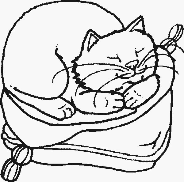 gatto-che-dorme-disegni-da-colorare