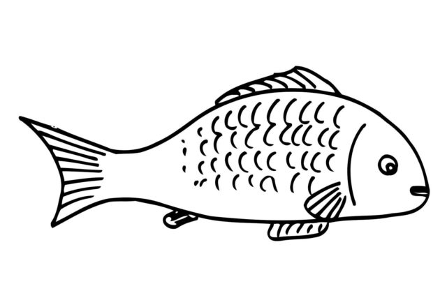 pesce_disegno_da_stampare_e_colorare