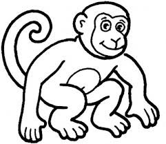 scimmia disegno da colorare gratis